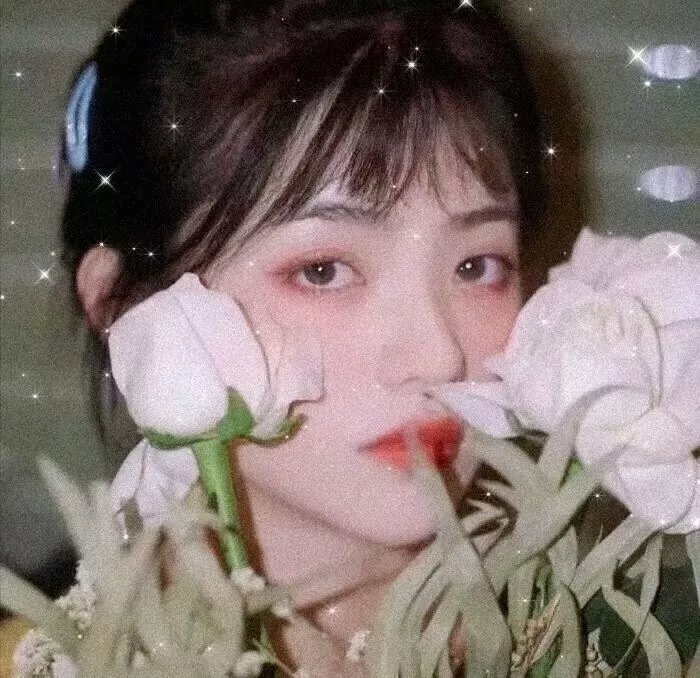 淑女宠爱