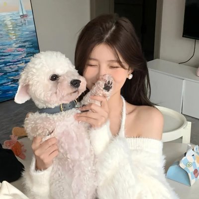 柯明斯基理论第一季